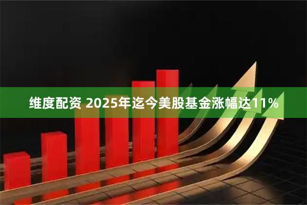 维度配资 2025年迄今美股基金涨幅达11%