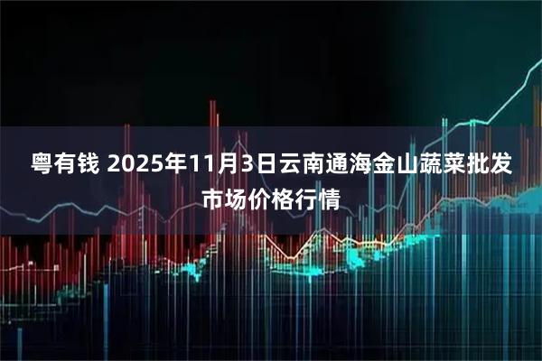 粤有钱 2025年11月3日云南通海金山蔬菜批发市场价格行情