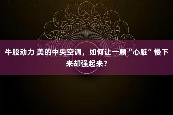 牛股动力 美的中央空调，如何让一颗“心脏”慢下来却强起来？