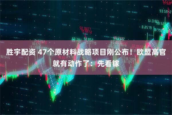 胜宇配资 47个原材料战略项目刚公布！欧盟高官就有动作了：先看镓
