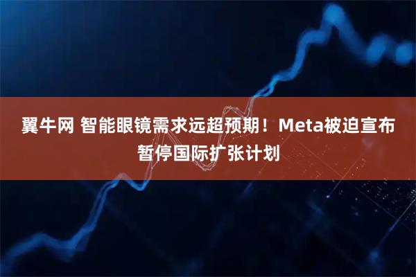 翼牛网 智能眼镜需求远超预期！Meta被迫宣布暂停国际扩张计划