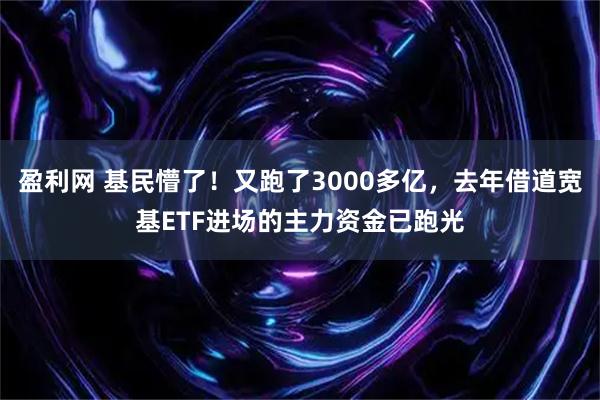 盈利网 基民懵了！又跑了3000多亿，去年借道宽基ETF进场的主力资金已跑光