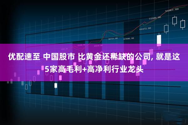 优配速至 中国股市 比黄金还稀缺的公司, 就是这5家高毛利+高净利行业龙头