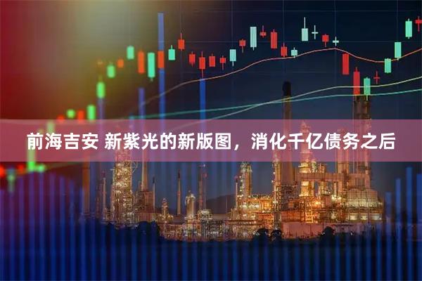 前海吉安 新紫光的新版图，消化千亿债务之后